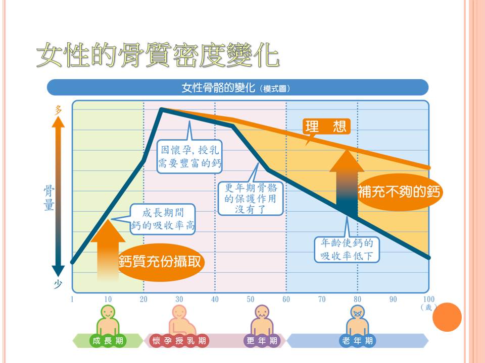 商品介紹 Yesgogogo 購物網